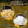 【送料無料】令和7年産 山形県産はえぬき玄米10kg(5kg×2袋)石抜き処理済