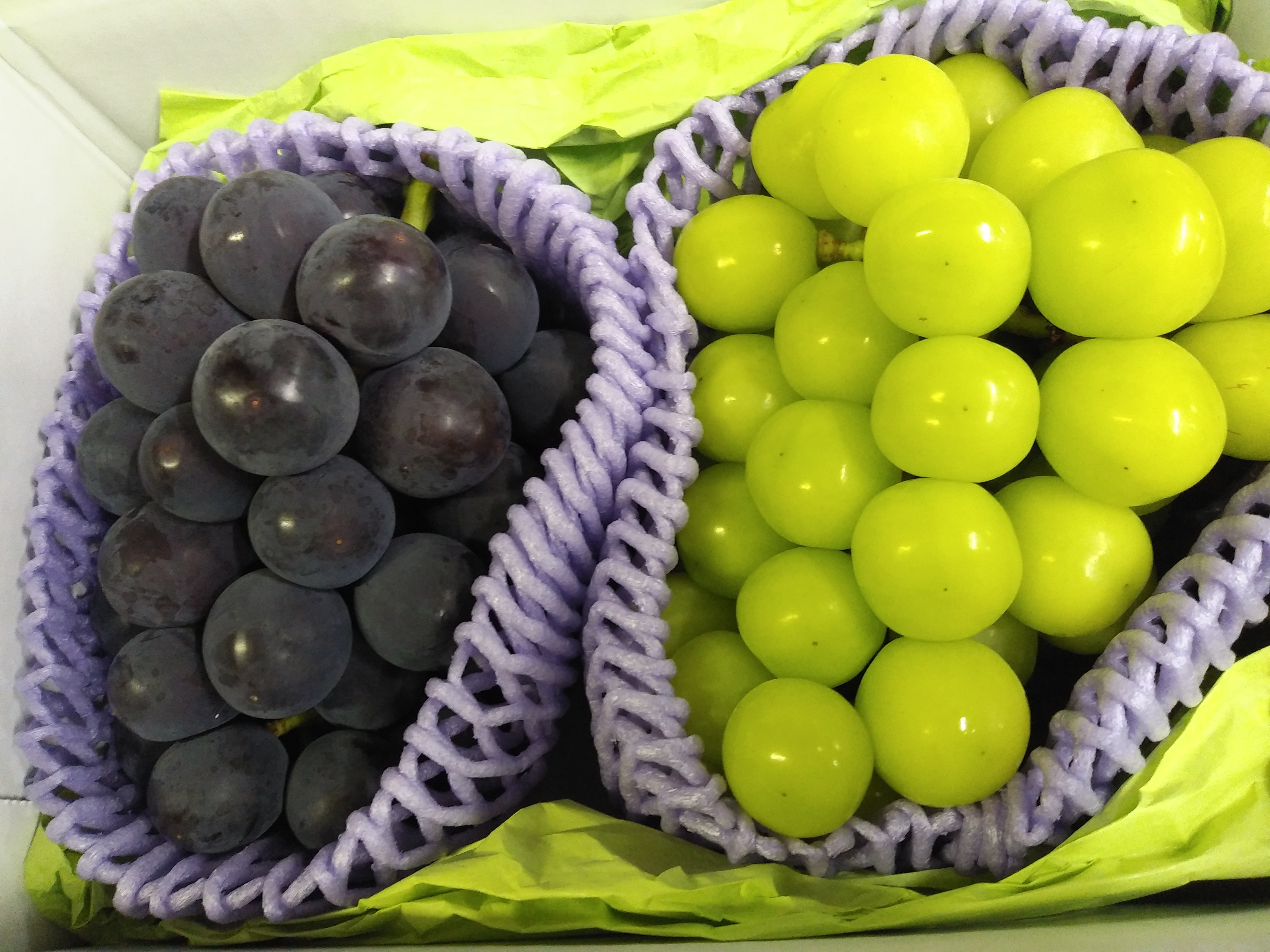 ピオーネの産直通販・お取り寄せ商品｜ポケットマルシェ｜産地直送で旬