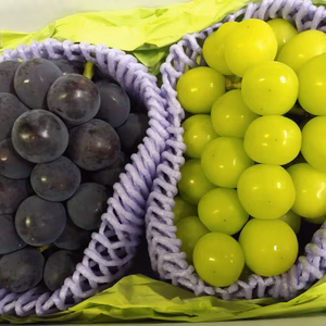 【高級ブドウ】シャインマスカット＆ピオーネ 大房各1房入り 山梨南アルプス市より