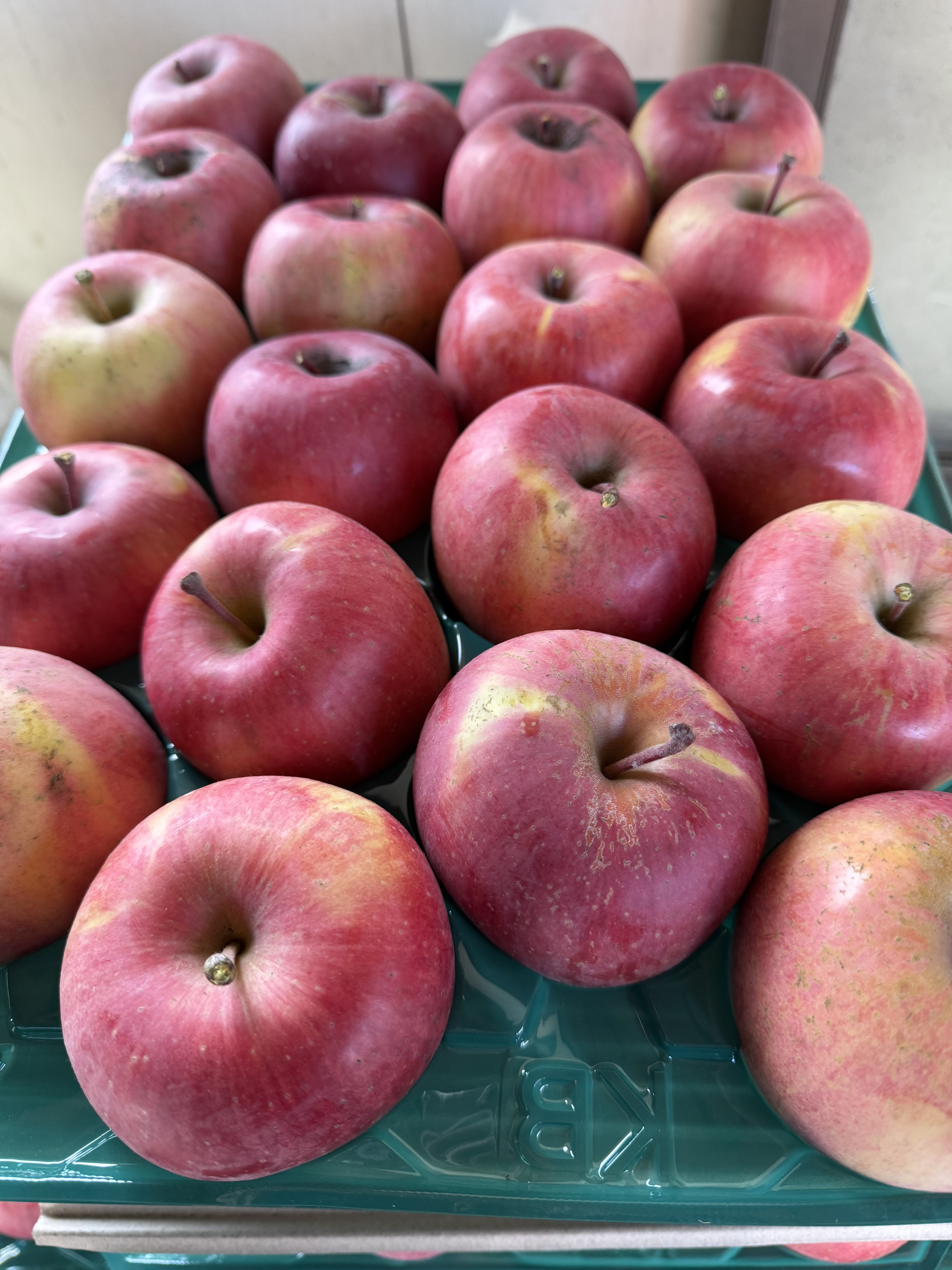 長野りんご サンふじ 5キロ 減農薬栽培 化学肥料除草剤不使用｜りんご