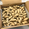 生落花生(ピーナッツ）おおまさり