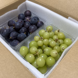 南アルプス市産　ご家庭用　ぶどう食べ比べパック詰め1kg〜