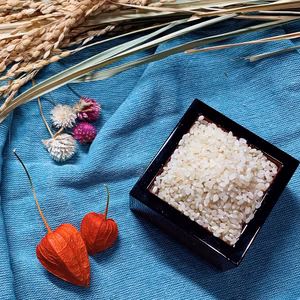 【お得まとめ買い】［白米/玄米］自然栽培コシヒカリ20kg（富山県氷見産）