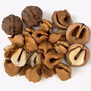 鬼クルミ200g手間いらず殻無しムキクルミ（令和７年産和胡桃）