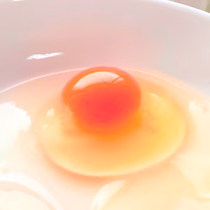★期間限定特売★【赤卵・初たまご】『黒麴』育ちの鶏の初たまご
