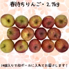 送料無料◎春になっても美味しい！春待ちりんご【訳あり2.7kg】