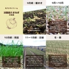 新たまねぎ 淡路島産 兵庫県認証食品 令和5年収穫分