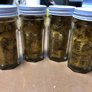 味で勝負！山口県産 天然 ムラサキウニ 瓶詰め 