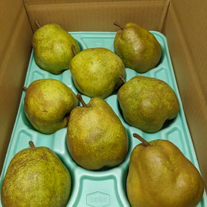 ラ・フランス8玉4Lサイズ