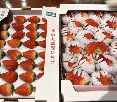 みんなの投稿の画像