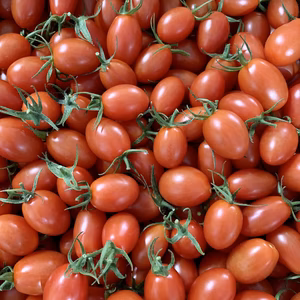 ミネラル豊富なアイコトマトです！