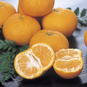 【送料無料】愛媛県西宇和産　小玉灘みかん（訳アリ）