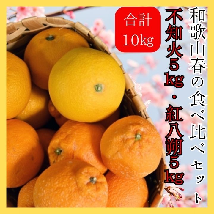 和歌山県産 紅八朔 サイズ混合 10kg - 果物