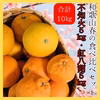 和歌山の不知火＋紅はっさくセット10kg 人気！減農薬！濃い！甘い！紅八朔