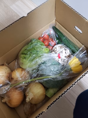 みんなの投稿の画像