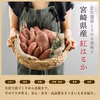 【おまけ付】宮崎産 さつまいも 紅はるか 2kg