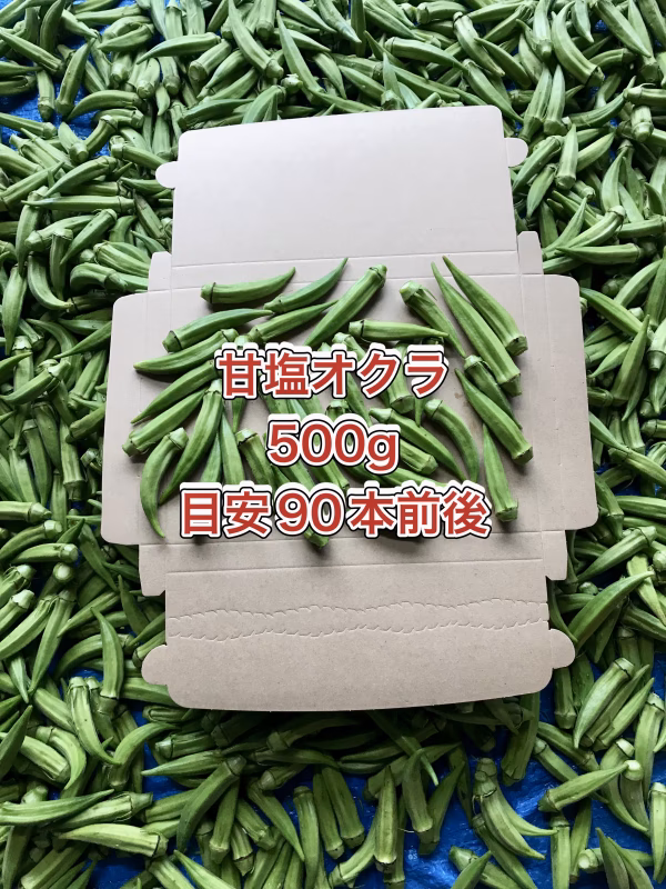 【鹿児島産】甘塩オクラ箱込み500g^_^