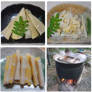 調理の手間なし！湯がきたけのこ3点セット