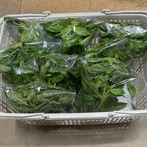 茎付きバジル　640g  露地栽培のバジルです。