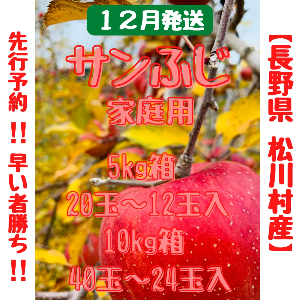 松茸 長野県松川村産