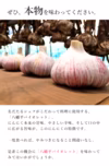 オーガニックにんにく「八幡平バイオレット」