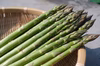 これから旬‼︎【4月初旬発送開始】那須の麓の 朝採りおかわりアスパラガス　