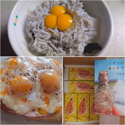 みんなの投稿の画像