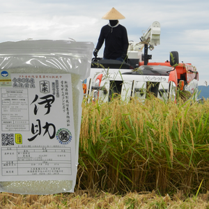 【定期】真空パック  確定9年連続残留農薬ゼロ コシ伊助 無洗玄米 ２Ｋｇ