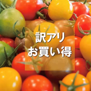 《訳アリお買い得》カラフルミニトマト(1.3kg)　