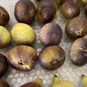 甘さ溢れる無花果