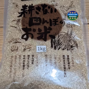 【自然栽培】令和7年はたはったん玄米5kｇ冬季湛水半不耕起栽培ハザ干し  米