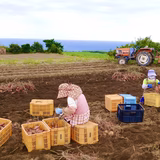 遠藤佐知江 | aimo農園