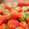 加工用 夏イチゴ (宮城県産)