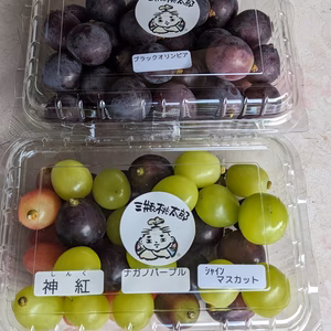 超お得★★いろいろつぶつぶお楽しみ　BO &種無し皮ごとBセット★★900g〜