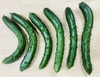 【訳ありお買い得】朝採れ新鮮！漬物用きゅうり５ｋｇ(曲がり・傷アリ)