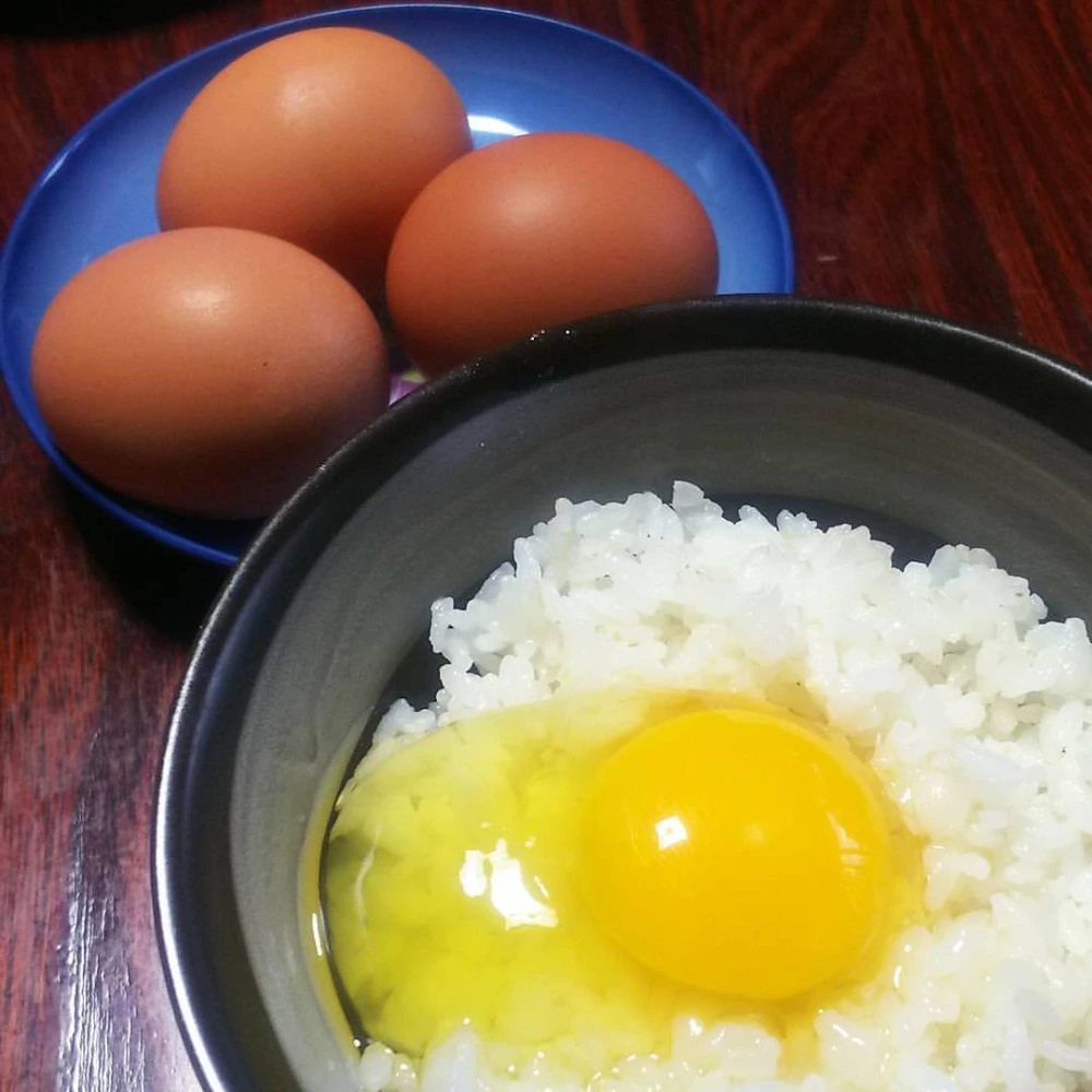 杭掛け天日干し 雪解け水で育った コシヒカリ