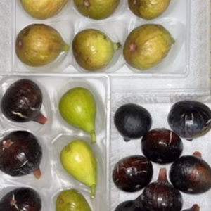 　本日の朝市❗️バナーネ&ダルマティ&ビオレソリエス極小玉