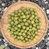 【訳あり】カリカリ梅用の小梅(生梅)