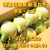春限定！！その甘さに感激！特選 淡路島新玉ねぎ　２０ｋｇ（早生・七宝）