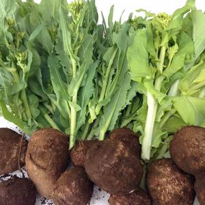 春の食べられるお花とサトイモ 1kg  農薬・化学肥料不使用