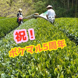 【5周年福袋】園主厳選の茶(限定セット)