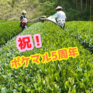 【5周年福袋】園主厳選の茶(限定セット)