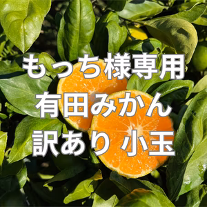 もっち様専用です  有田みかんサイズ2Sから4S 小玉　和歌山県有田産