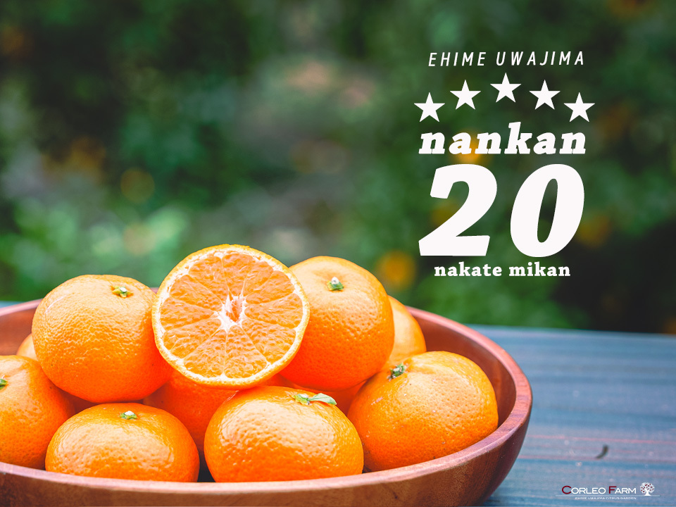 二大人気柑橘 食べ比べセット（コルマドンナ2.4kg／南柑20号2.4kg