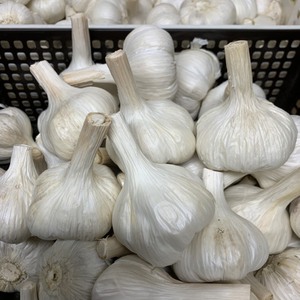 にんにく1〜3kgセット　サイズSS〜3L