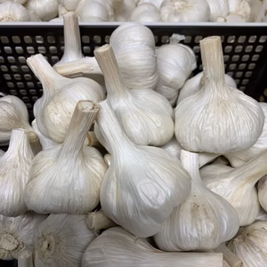 にんにく　サイズS〜Ｌ　1kg