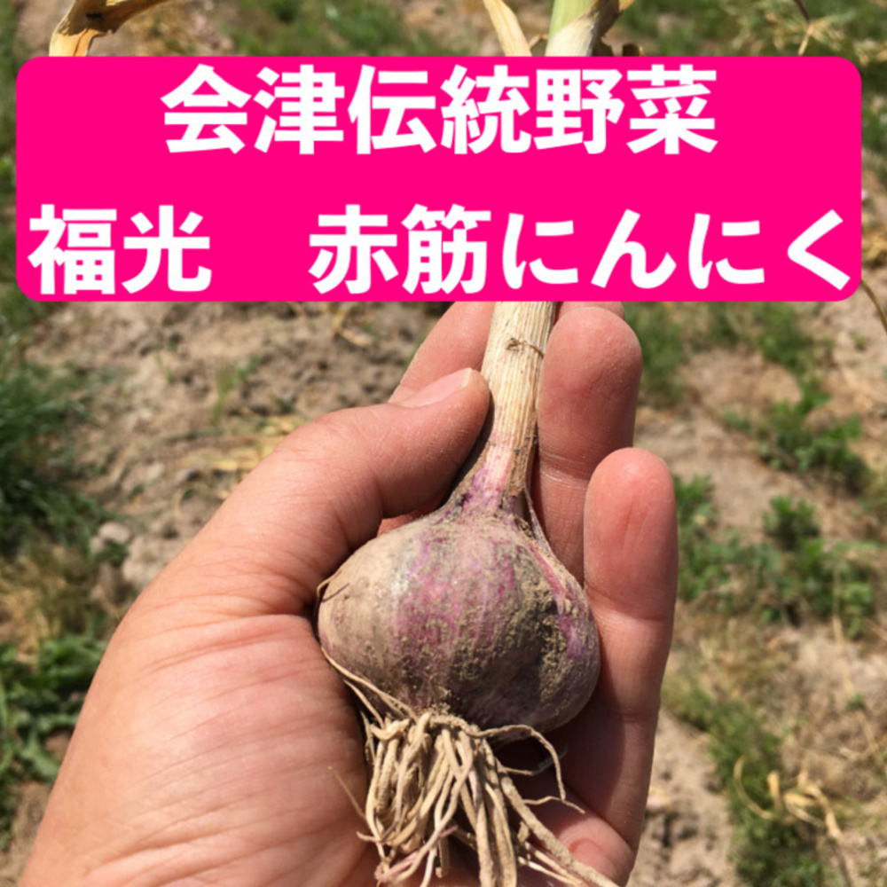 会津伝統野菜 根菜セット 農薬化学肥料不使用 会津の伝統野菜と薬草 リオリコ農園 農家漁師直送のポケットマルシェ
