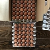 河内山養鶏場の卵（Mサイズ６０個）