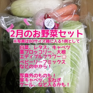 2月のお野菜セット　淡路島よりAwajicHorrorGarden