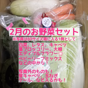 2月のお野菜セット　淡路島よりAwajicHorrorGarden